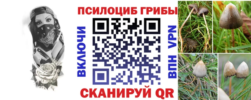 где найти наркотики  Буинск  маркетплейс как зайти  Галлюциногенные грибы прущие грибы 